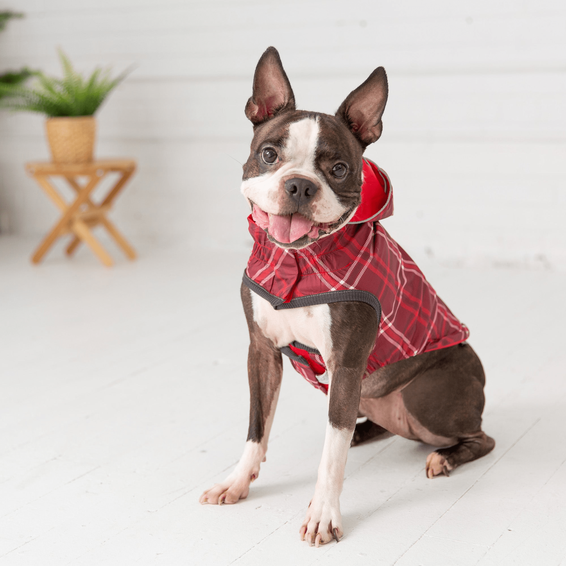 Dog and Pet Stuff Reversible Elasto-Fit Raincoat - Red