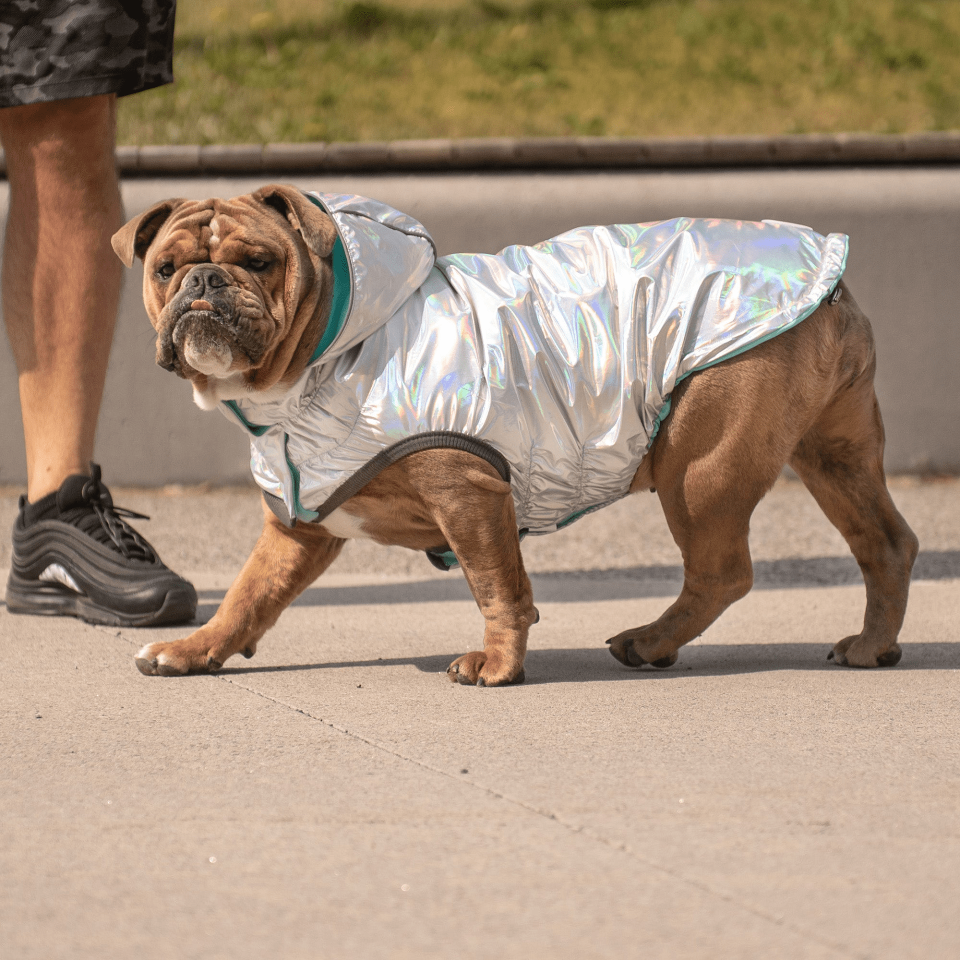 Dog and Pet Stuff Reversible Raincoat - Neon Aqua with Iridescent