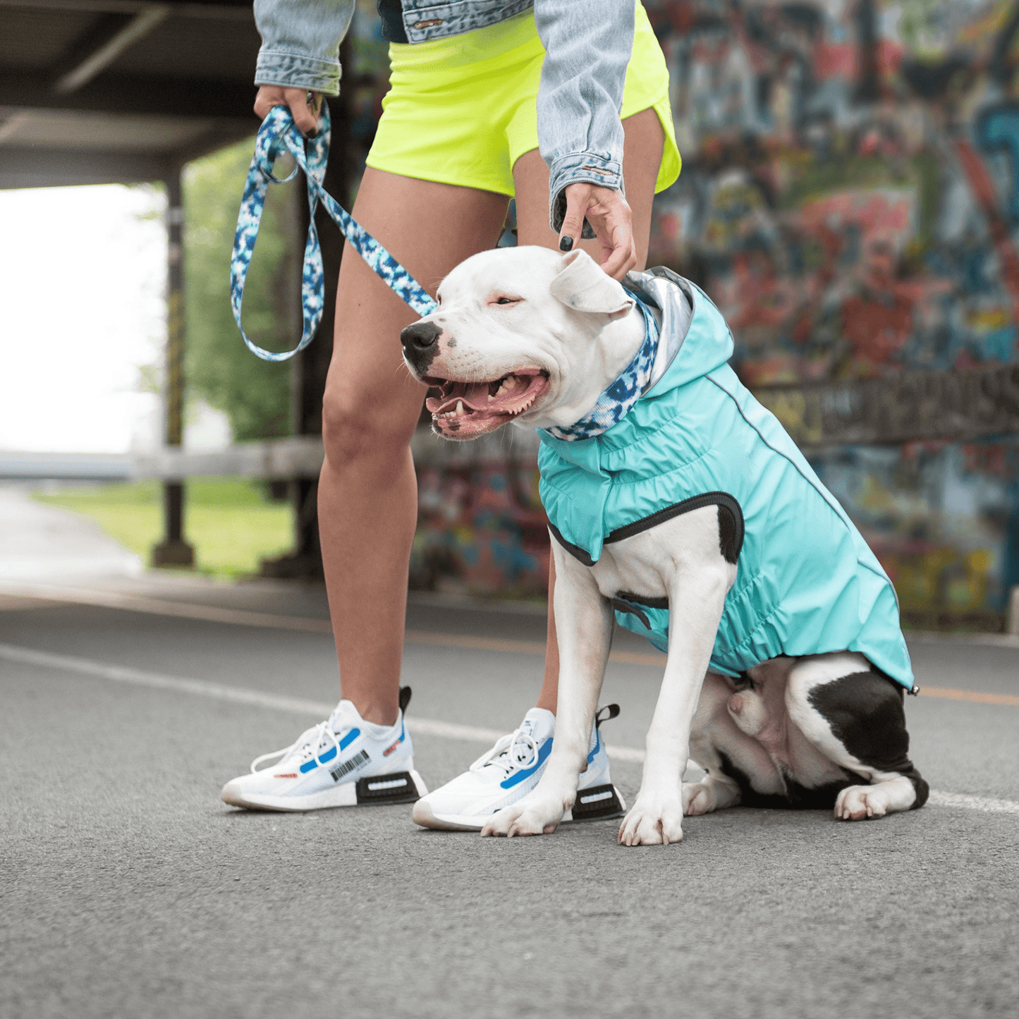 Dog and Pet Stuff Reversible Raincoat - Neon Aqua with Iridescent