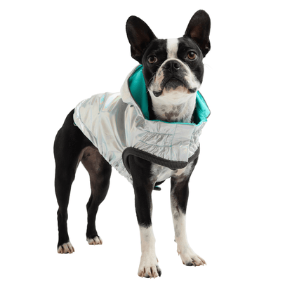 Dog and Pet Stuff Reversible Raincoat - Neon Aqua with Iridescent