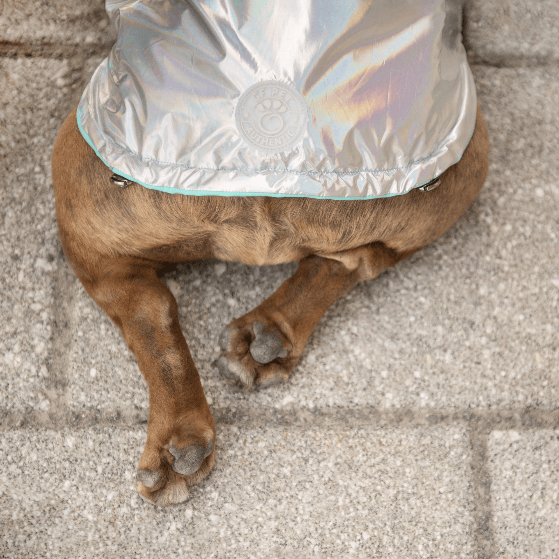 Dog and Pet Stuff Reversible Raincoat - Neon Aqua with Iridescent