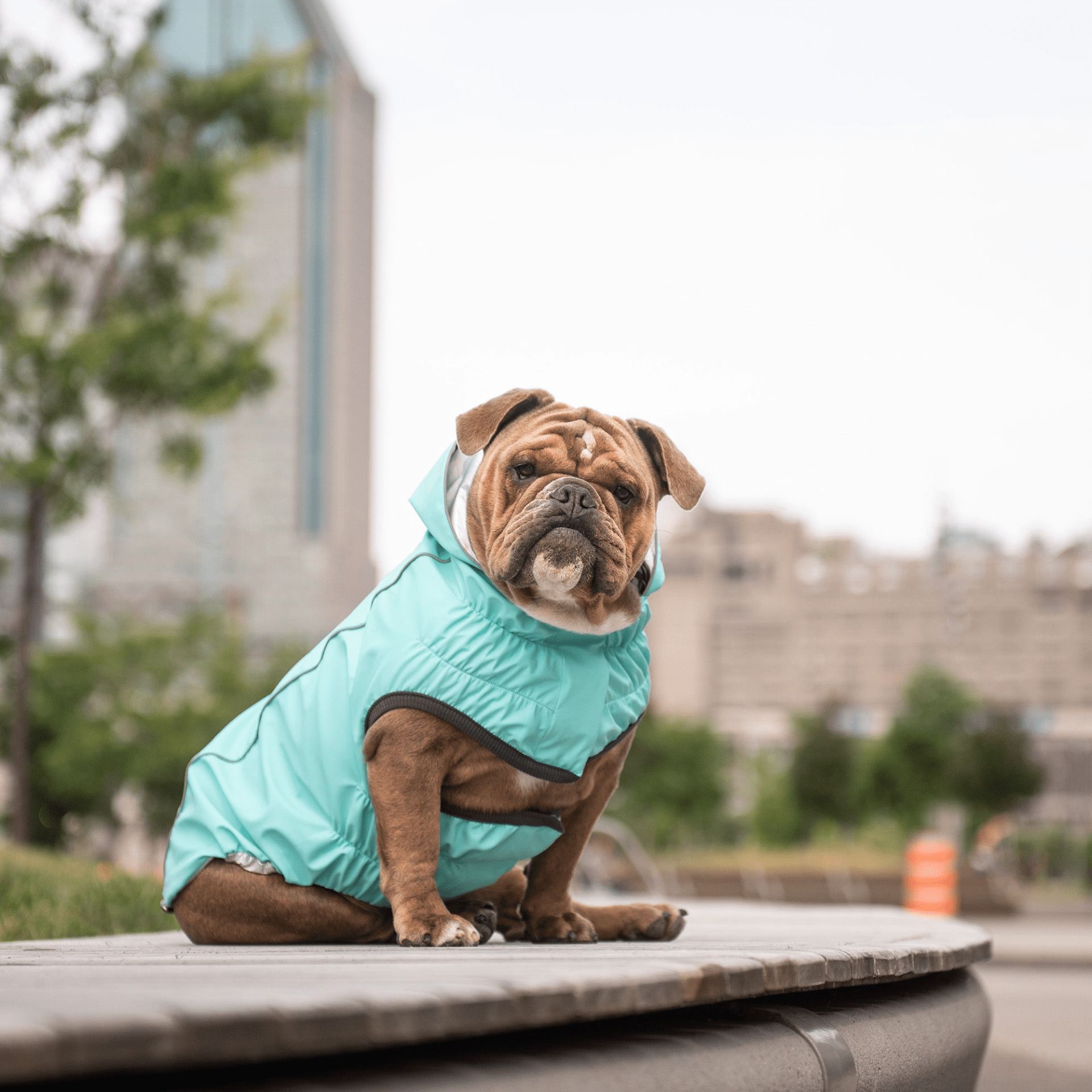 Dog and Pet Stuff Reversible Raincoat - Neon Aqua with Iridescent