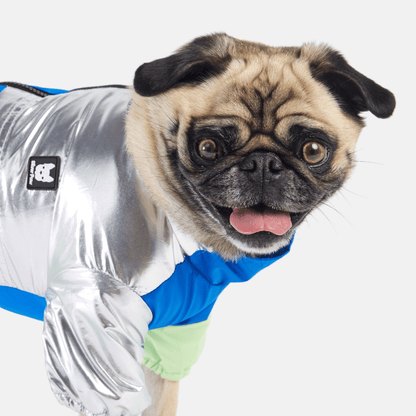 Dog and Pet Stuff Ricki Dog Tracksuit - Blue