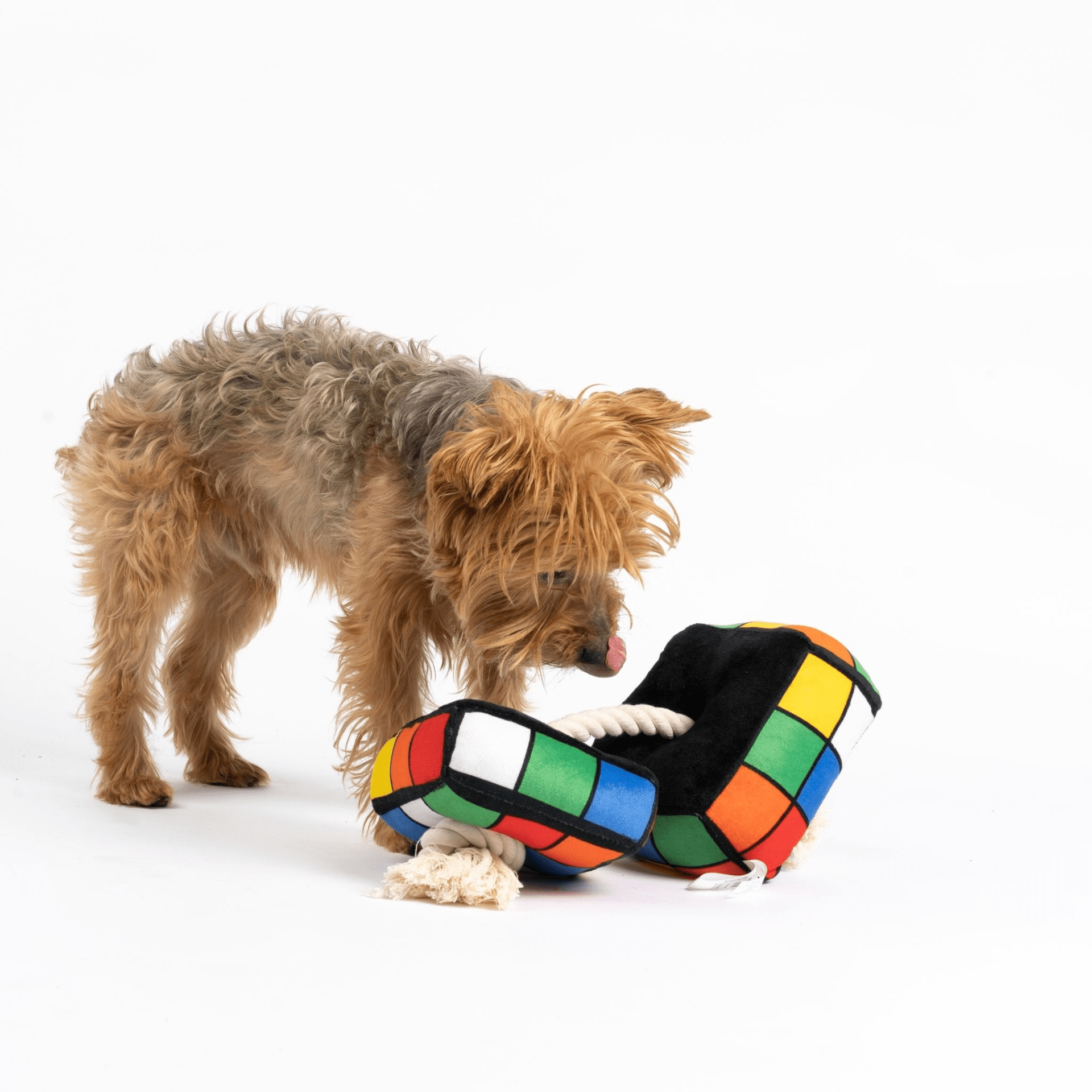 Dog and Pet Stuff Robix Cube Dog Toy