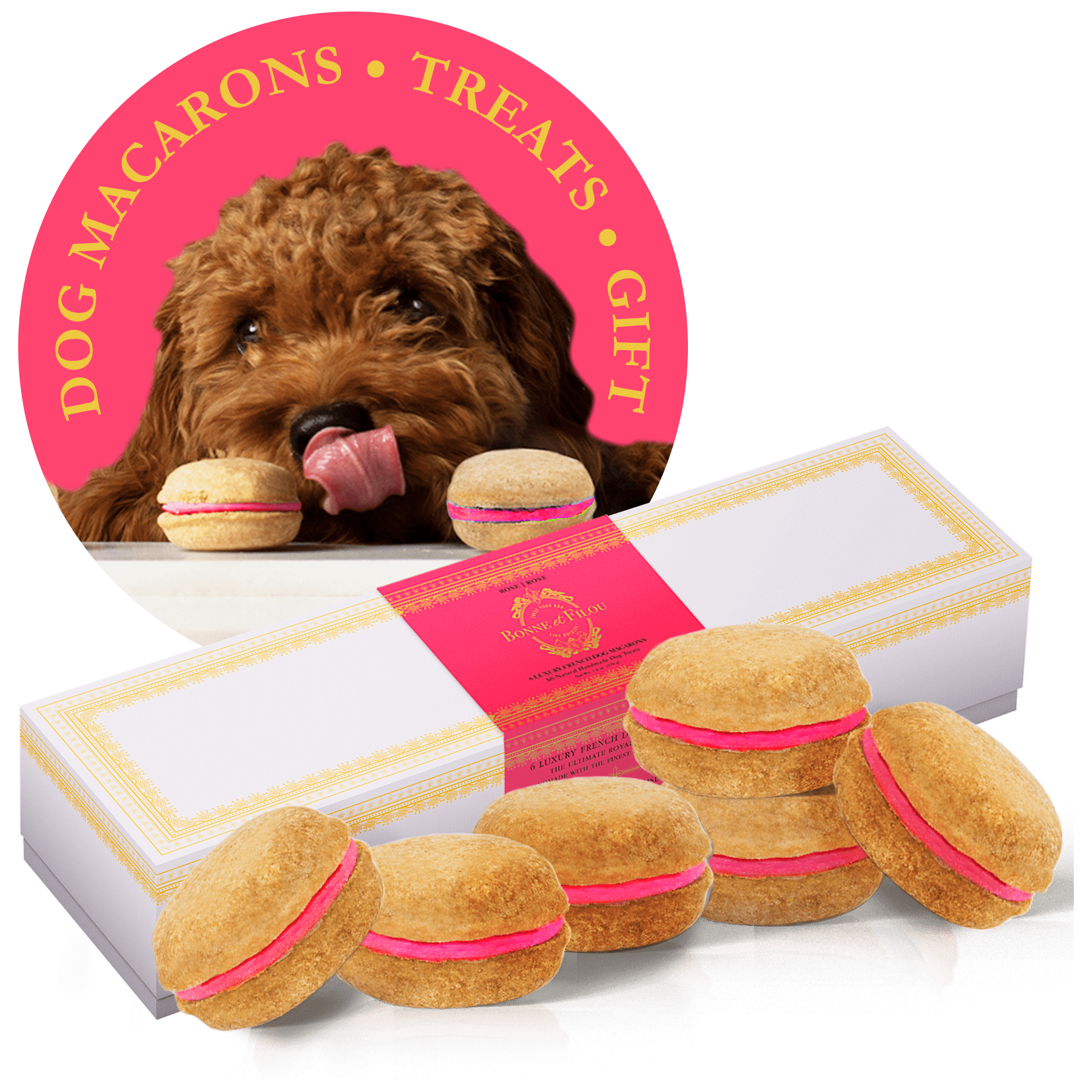 Dog and Pet Stuff Rose Dog Macarons (Box of 6)