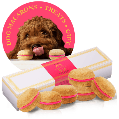 Dog and Pet Stuff Rose Dog Macarons (Box of 6)