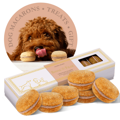 Dog and Pet Stuff Salted Caramel Dog Macarons (Count of 6 - window in packaging)