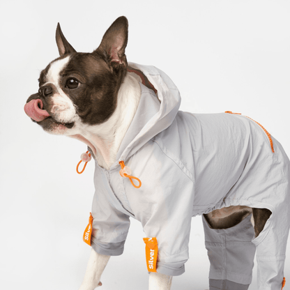 Dog and Pet Stuff Sammy - Splash Suit