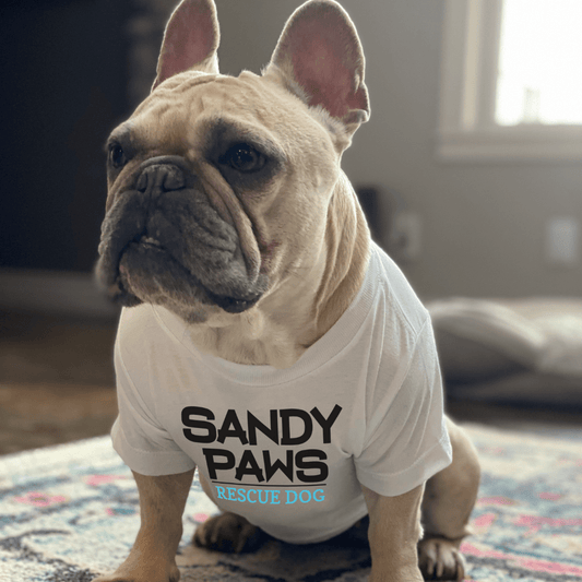 Dog and Pet Stuff Sandy Paws Rescue Dog Dog Shirt