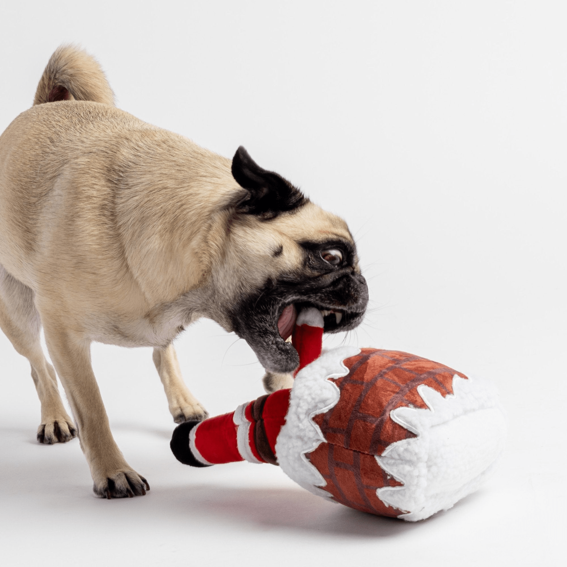 Dog and Pet Stuff Santa Chimney Toy