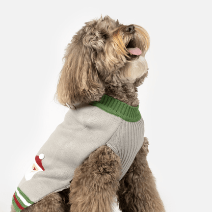 Dog and Pet Stuff Santa Dog Sweater