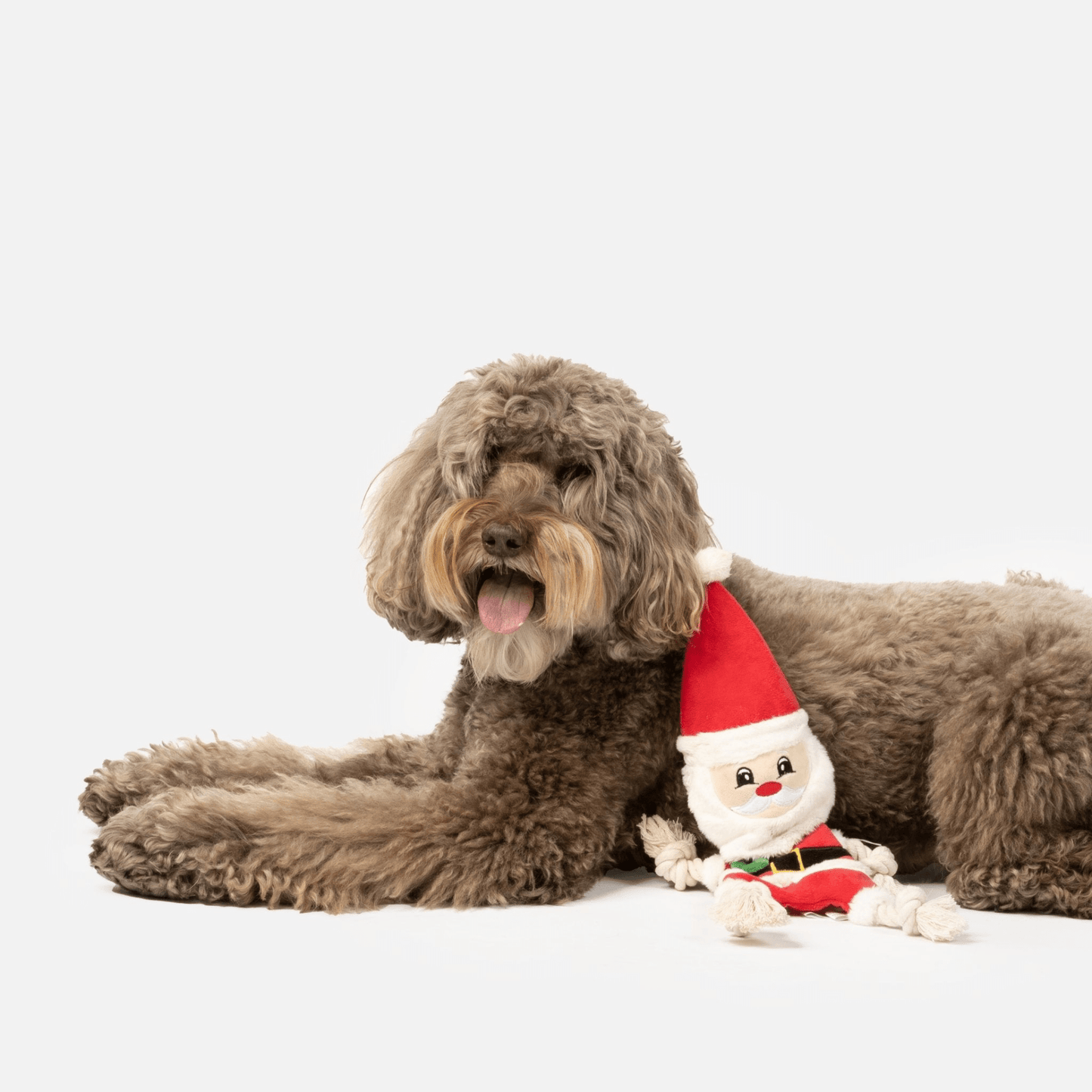 Dog and Pet Stuff Santa Plush Dog Toy With Rope