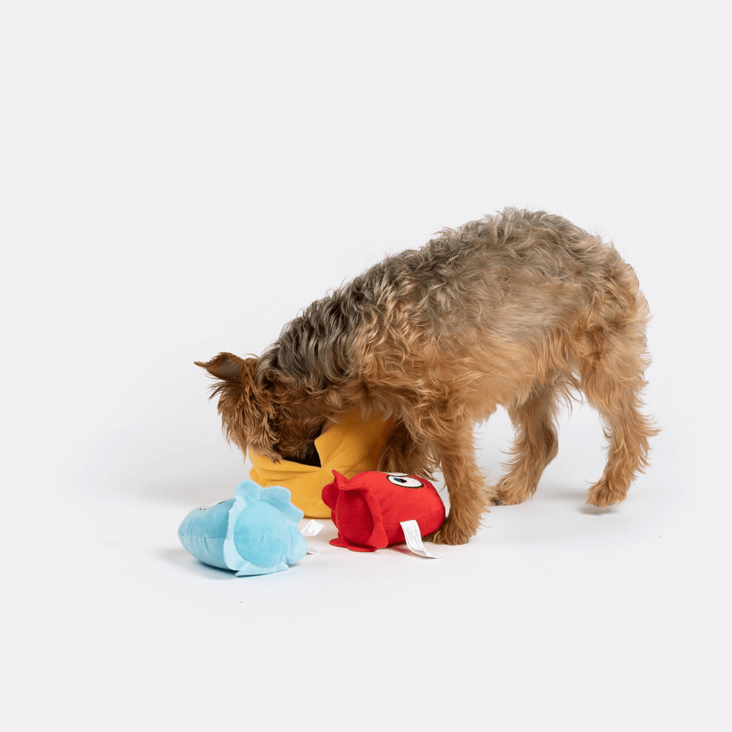 Dog and Pet Stuff Snackman Dog Toy