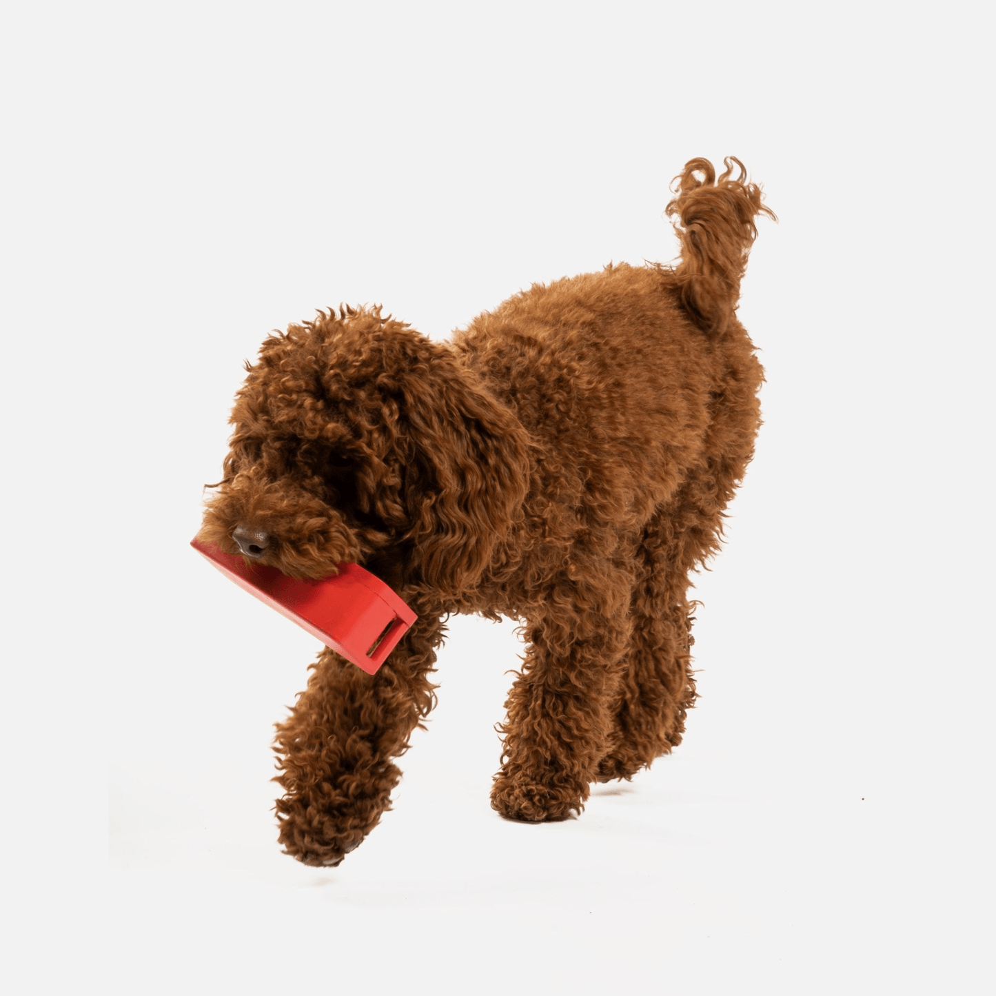 Dog and Pet Stuff Speaker With Chicken Scent Dog Toy