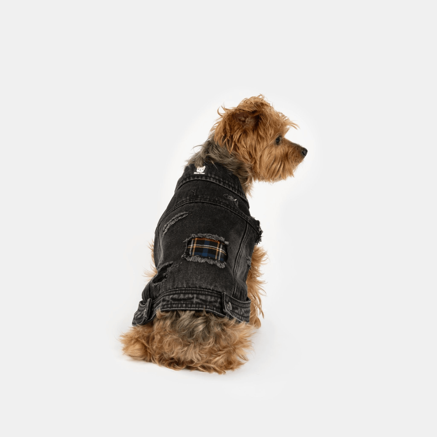 Dog and Pet Stuff Spencer Dog Jacket