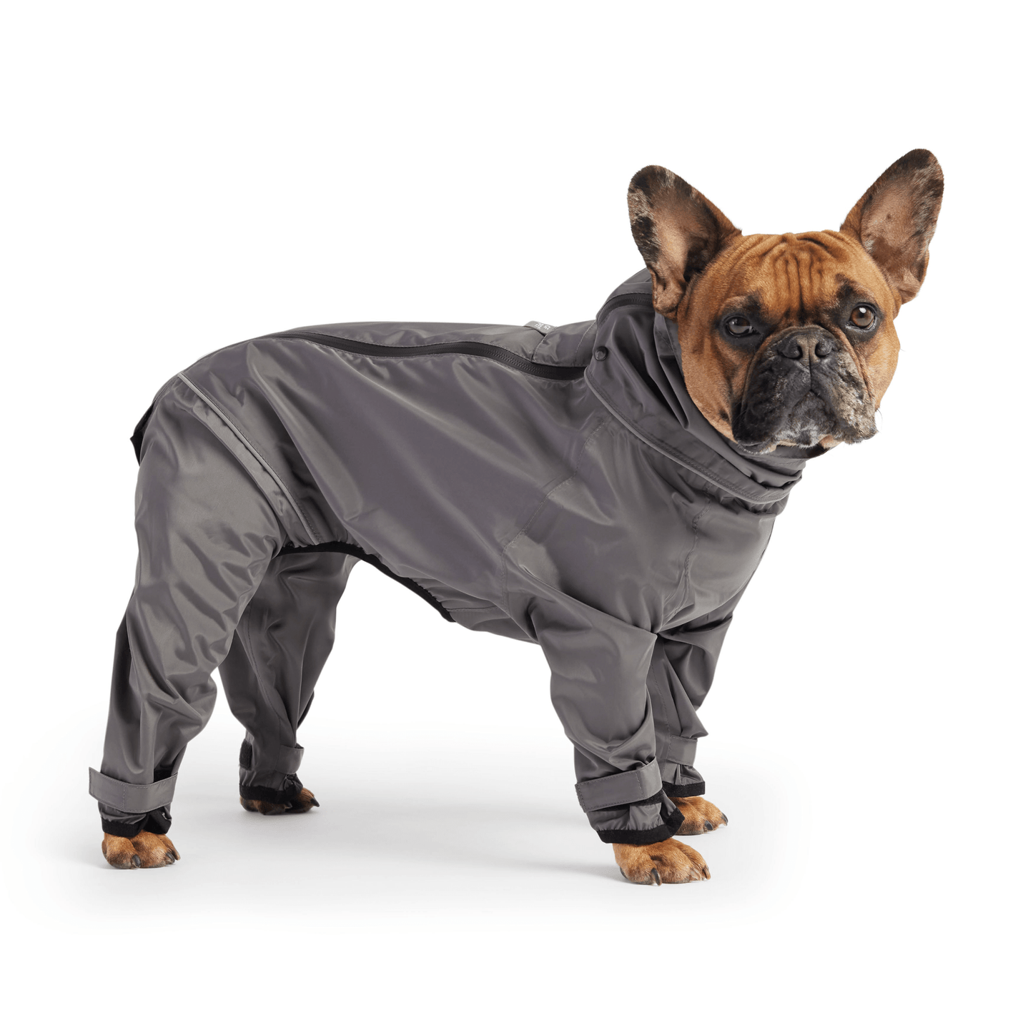 Dog and Pet Stuff Splash Suit - Charcoal