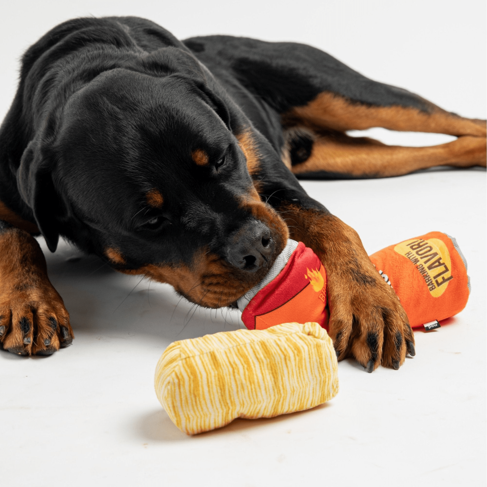 Dog and Pet Stuff Stack O' Potato Chips - Dog Toy