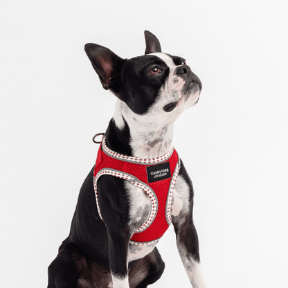 Dog and Pet Stuff Step-In Dog Harness - Red
