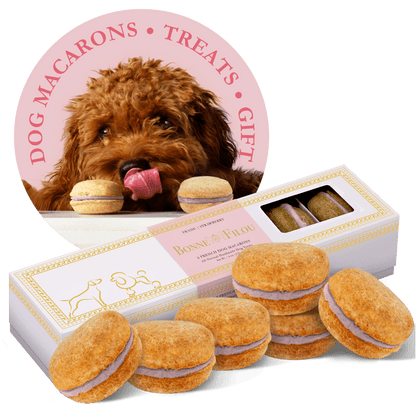 Dog and Pet Stuff Strawberry Dog Macarons (Count of 6 - window in packaging)