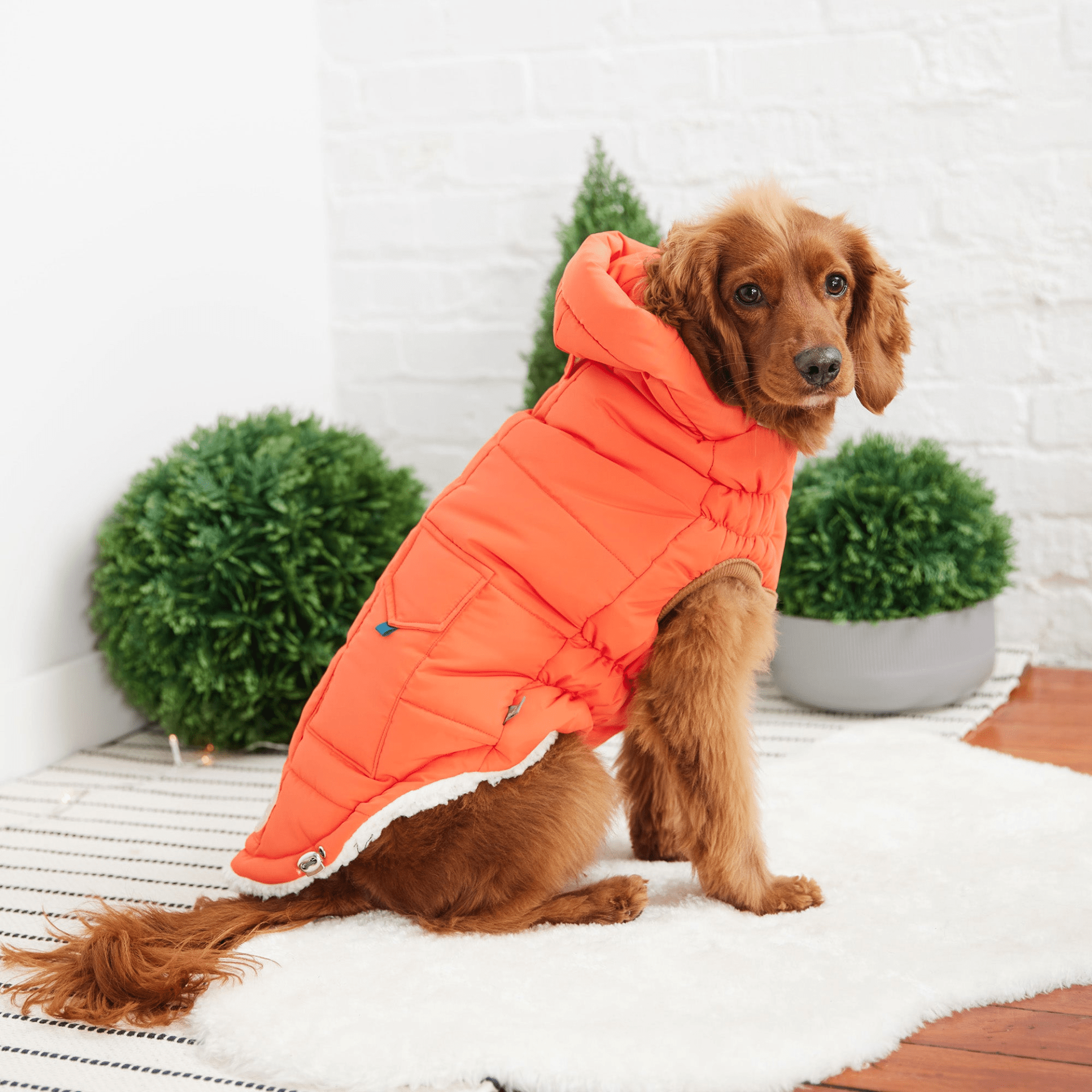 Dog and Pet Stuff Super Puff Parka - Orange