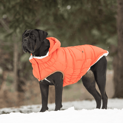 Dog and Pet Stuff Super Puff Parka - Orange