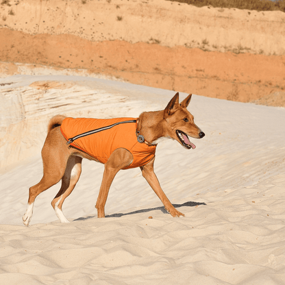 Dog and Pet Stuff Sustainable Eco-Friendly Dog Jacket / Vest - Made in Ukraine