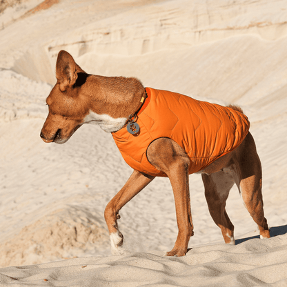 Dog and Pet Stuff Sustainable Eco-Friendly Dog Jacket / Vest - Made in Ukraine