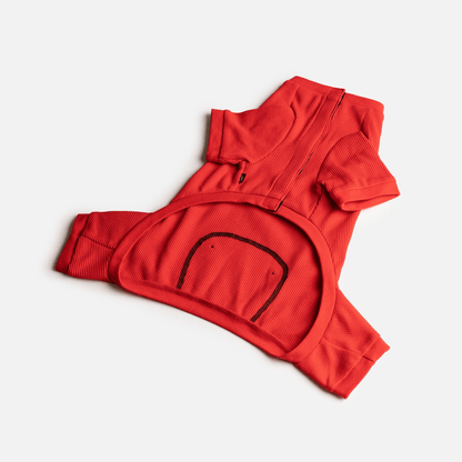 Dog and Pet Stuff Thermal Dog Pajama - Red