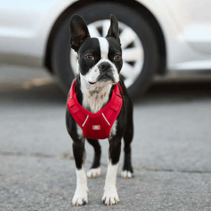 Dog and Pet Stuff Travel Harness - Red