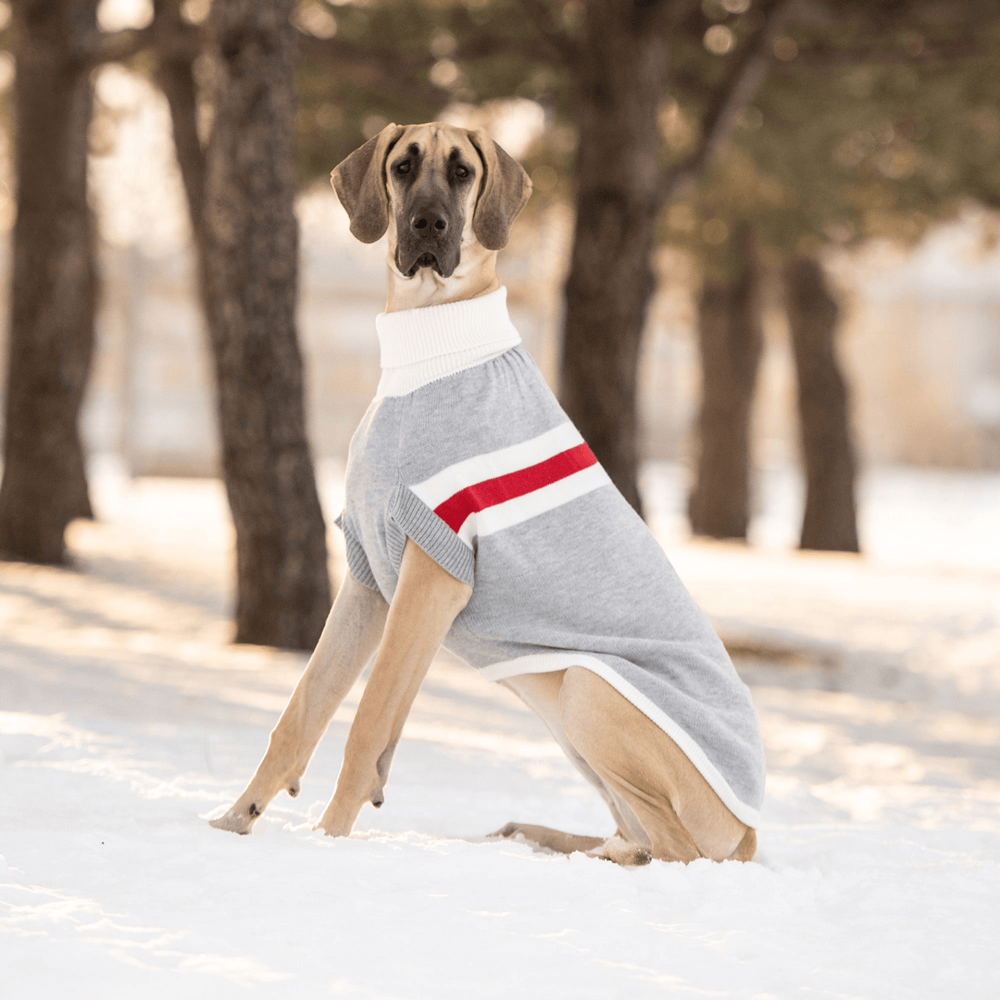 Dog and Pet Stuff Trekking Sweater - Grey Mix