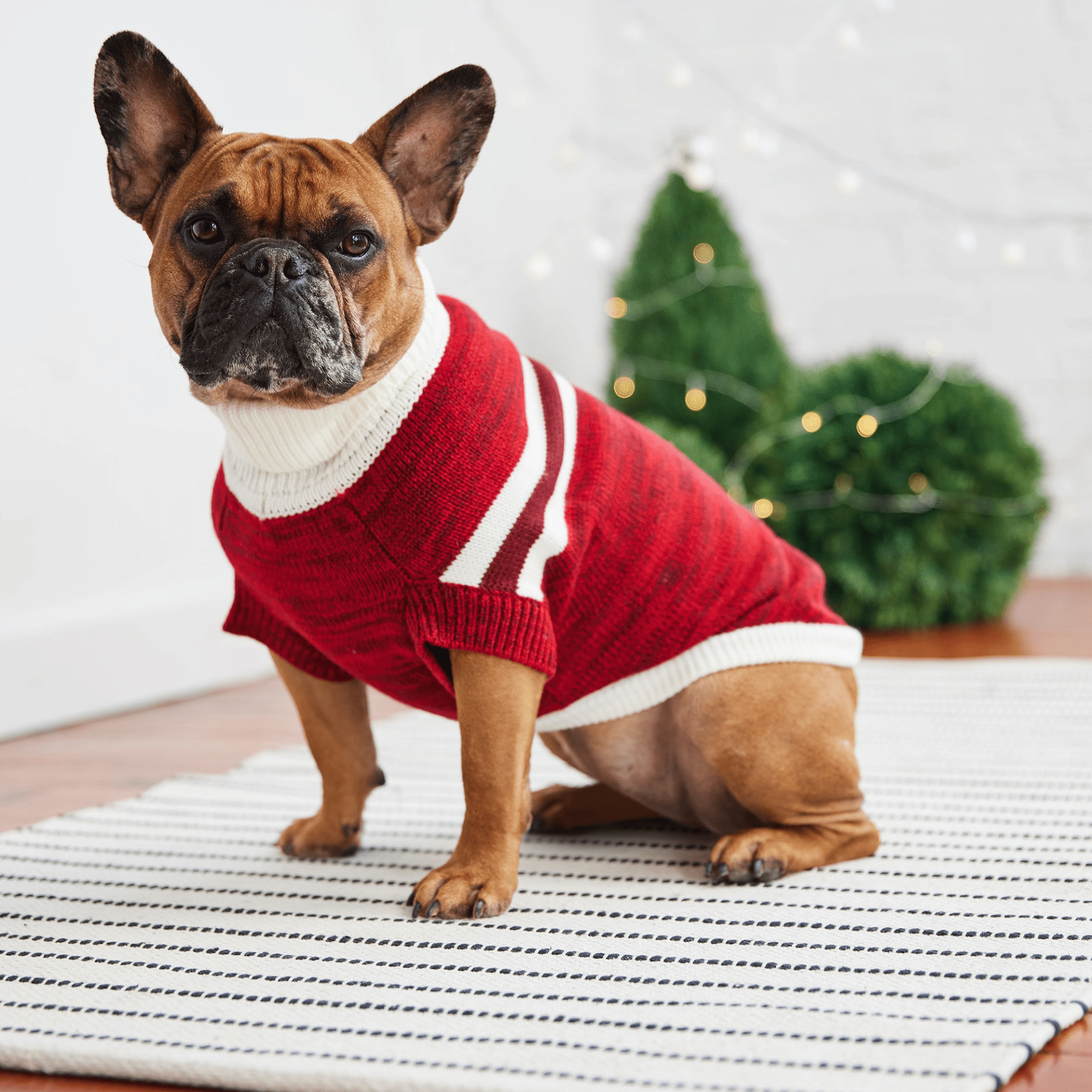 Dog and Pet Stuff Trekking Sweater - Red