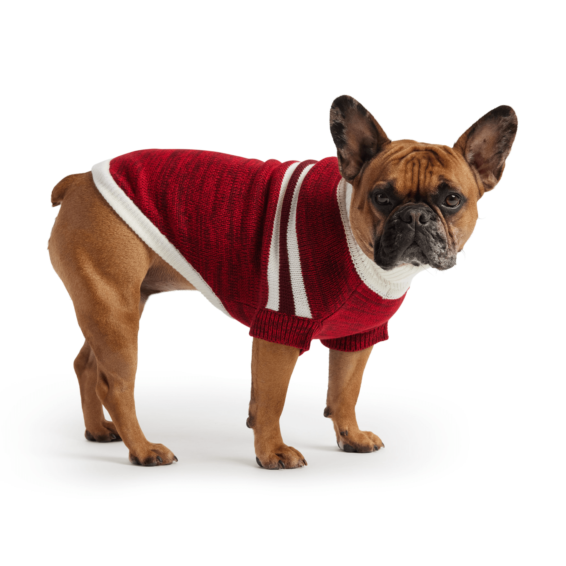 Dog and Pet Stuff Trekking Sweater - Red