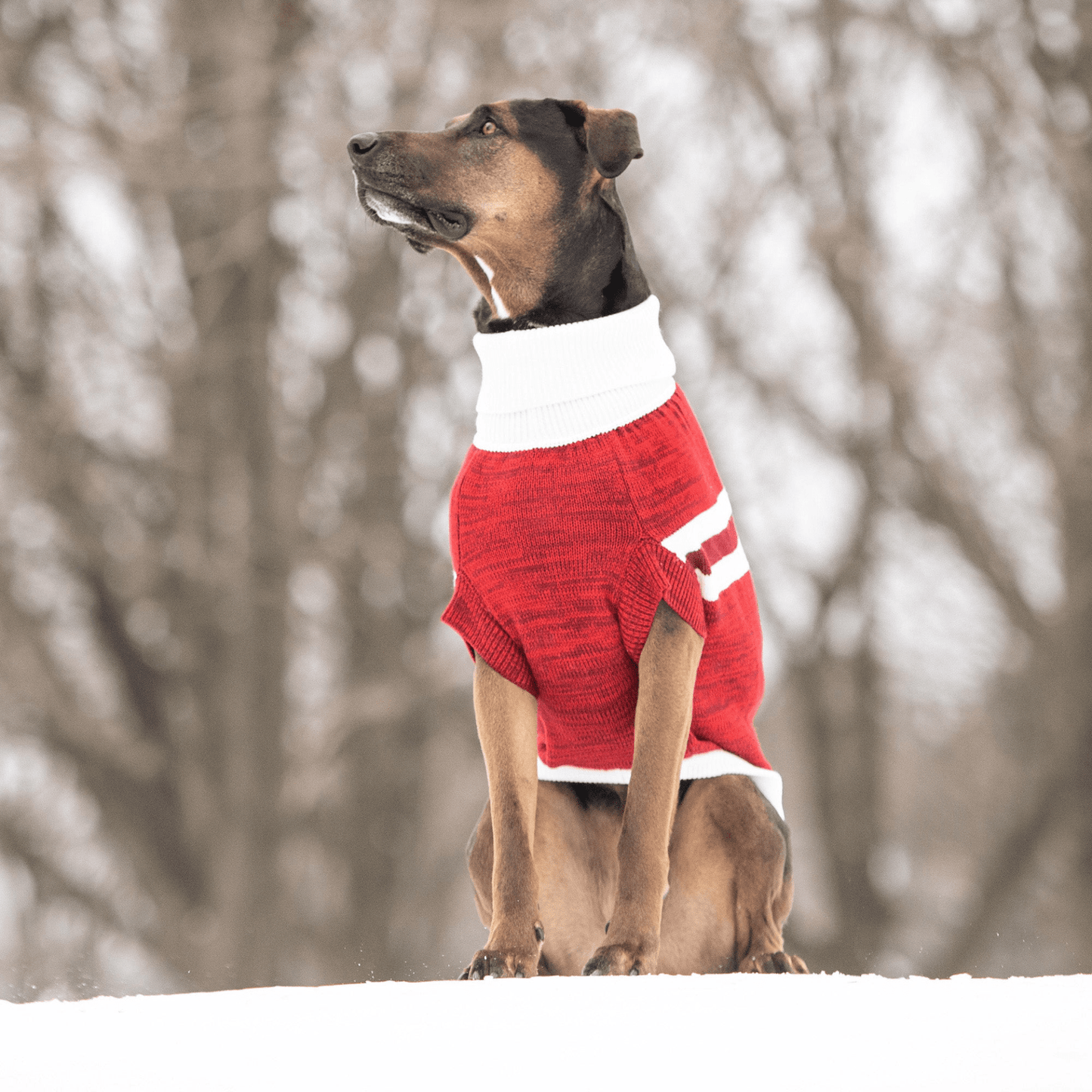 Dog and Pet Stuff Trekking Sweater - Red