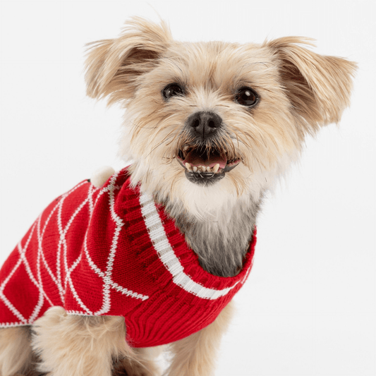 Dog and Pet Stuff Ugly Xmas Dog Sweater - Gingerbread