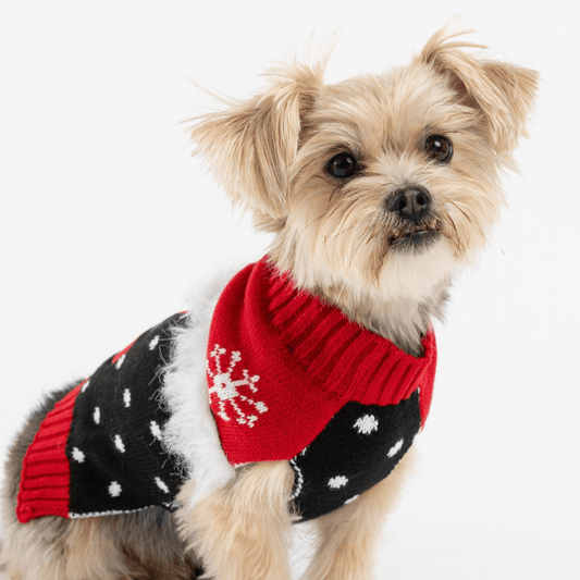 Dog and Pet Stuff Ugly Xmas Dog Sweater - Stocking