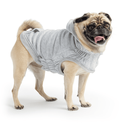 Dog and Pet Stuff Urban Hoodie - Heather Grey