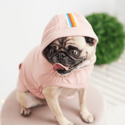 Dog and Pet Stuff Urban Hoodie - Pink