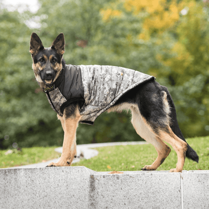Dog and Pet Stuff US Army Dog Jacket - Camo