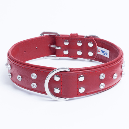 Dog and Pet Stuff Valentine Red / 24” x 1.5” Athens