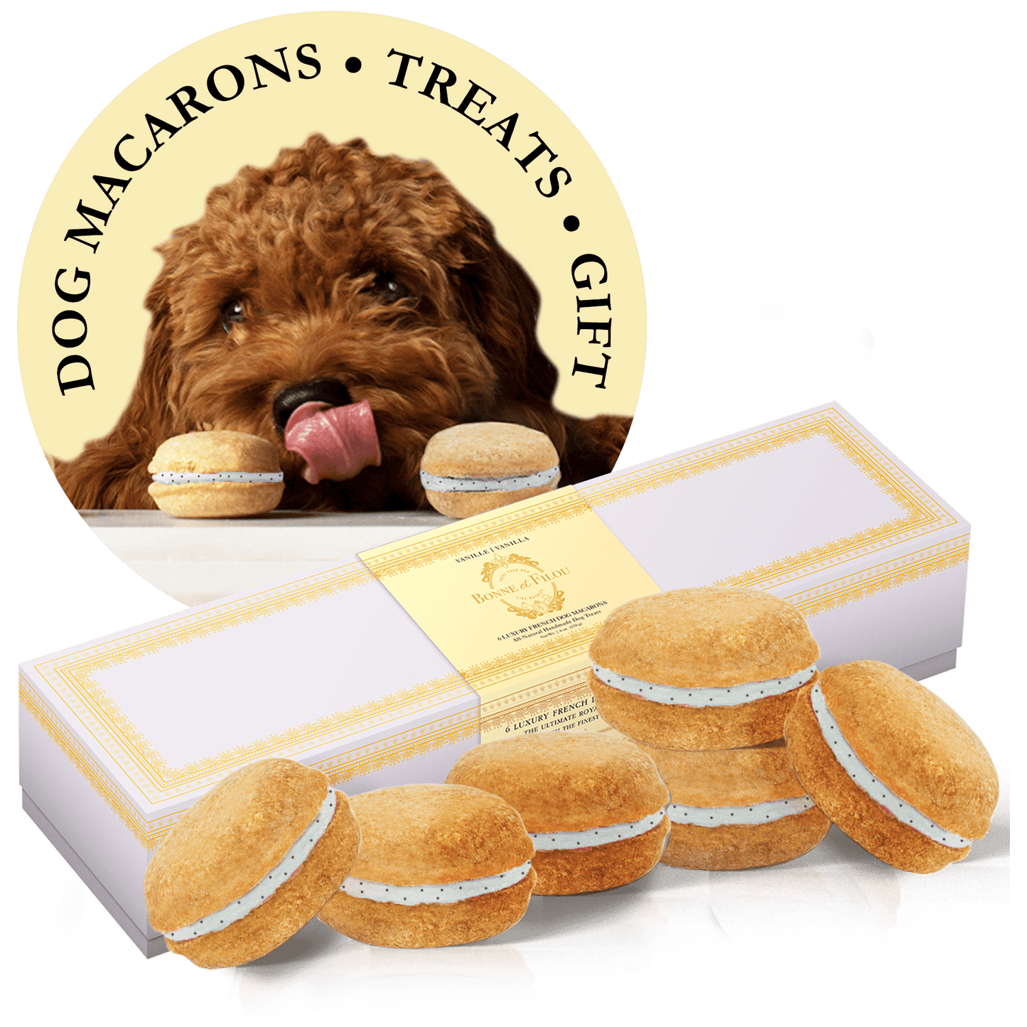 Dog and Pet Stuff Vanilla Dog Macarons (Box of 6)