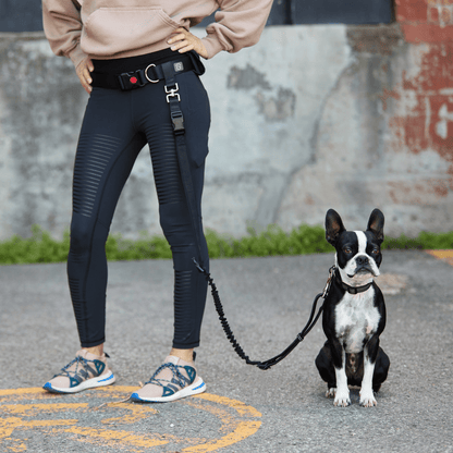 Dog and Pet Stuff Waist Belt & Bungee Leash