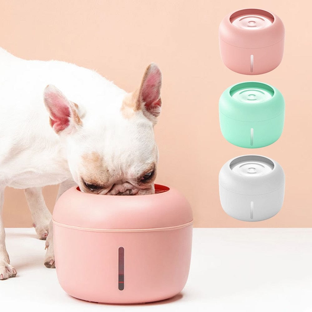 Dog and Pet Stuff Water/Feeding Bowl Pet Drinking Bowl