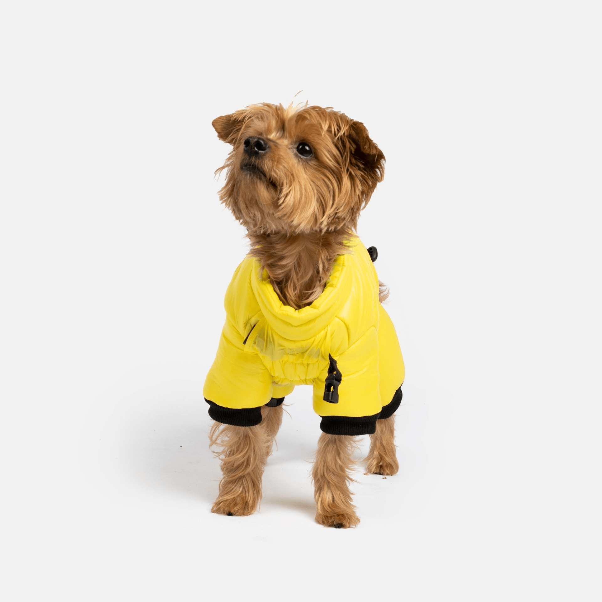 Dog and Pet Stuff Whistler Full Body Dog Snowsuit - Yellow