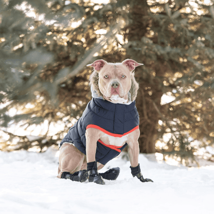 Dog and Pet Stuff Winter Sailor Parka - Navy