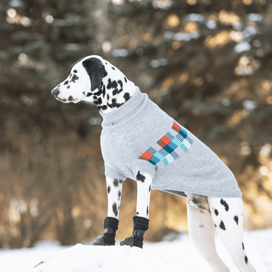 Dog and Pet Stuff Winter Sailor Sweater - Grey Mix
