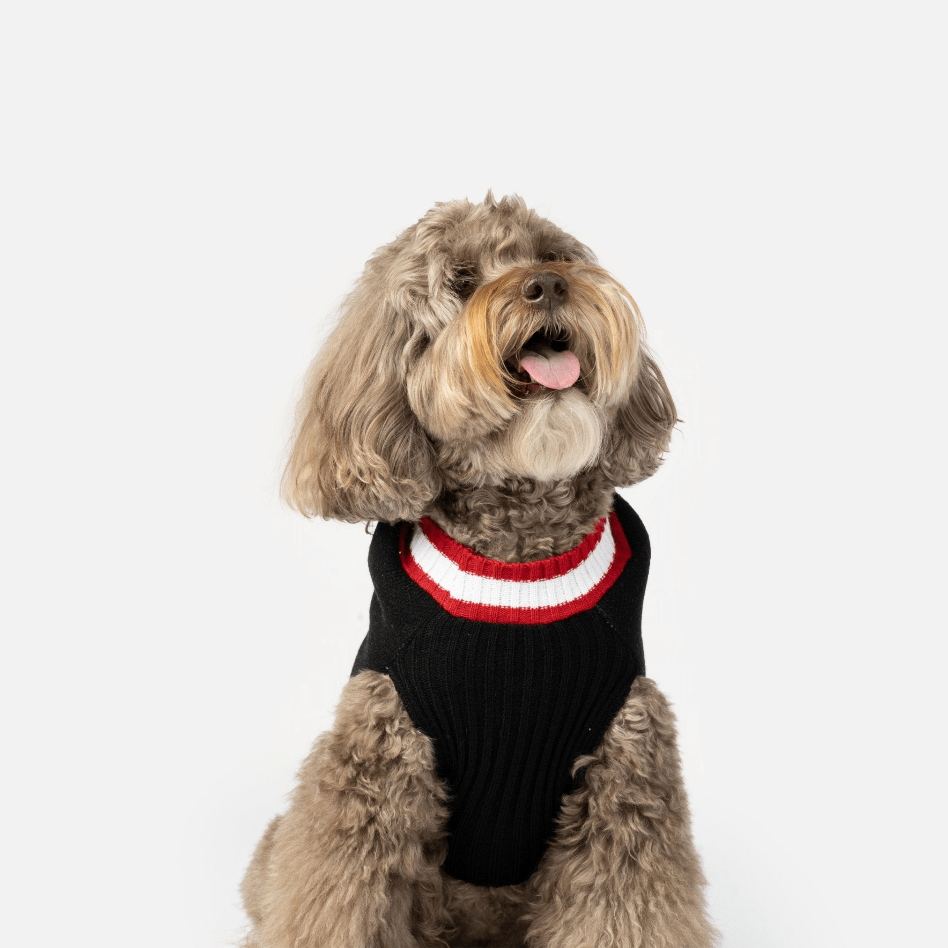 Dog and Pet Stuff Wreath Dog Sweater