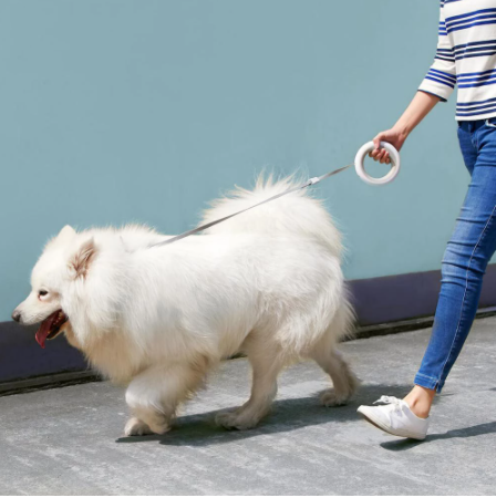 Dog and Pet Stuff Xiaomi MOESTAR UFO 2.6m Retractable Pet Leash