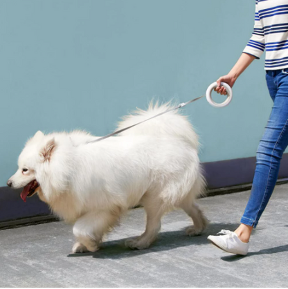Dog and Pet Stuff Xiaomi MOESTAR UFO 2.6m Retractable Pet Leash