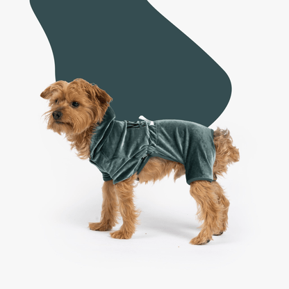 Dog and Pet Stuff XS Coco Velour Pjs - Teal