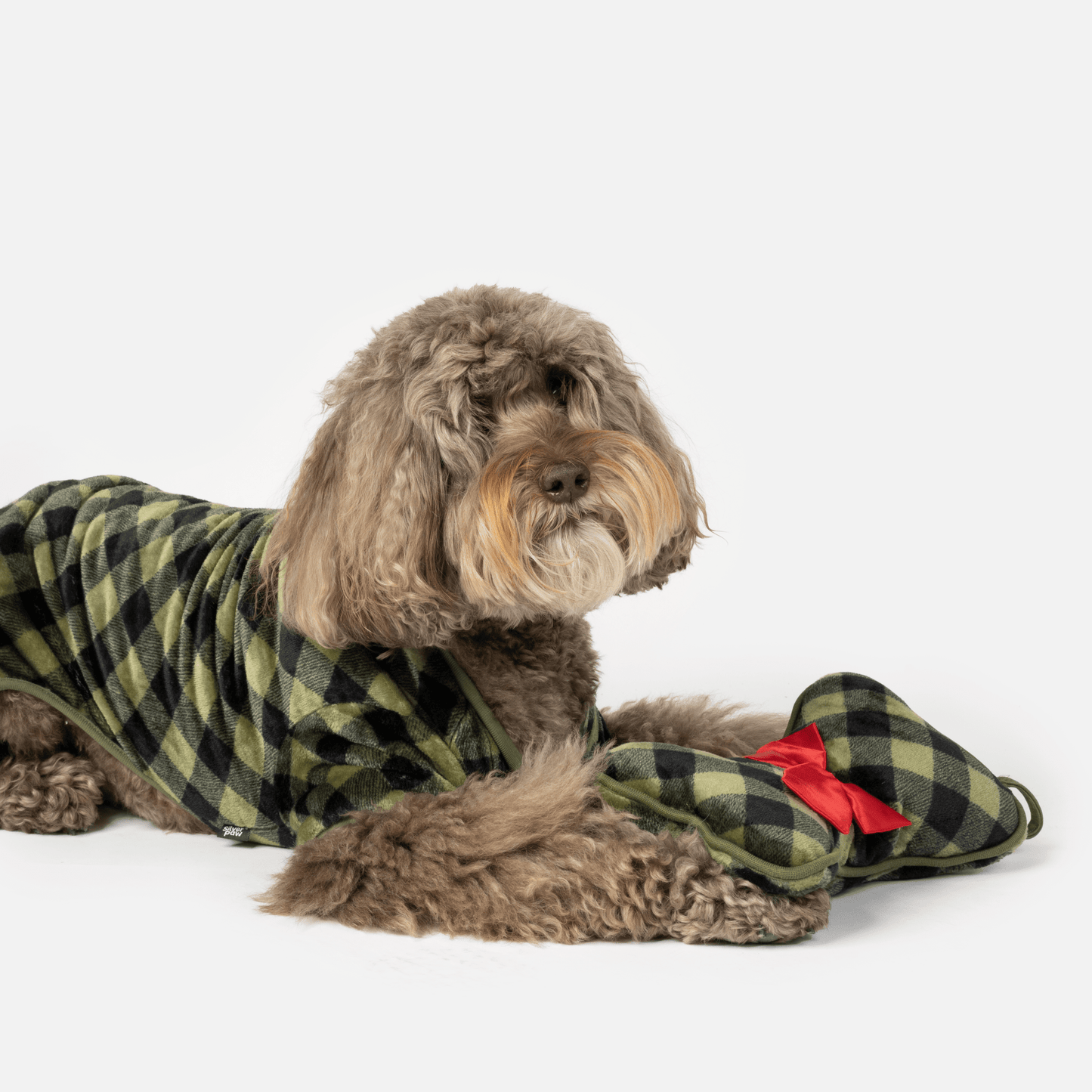 Dog and Pet Stuff XS Elf Dog Pjs & Stocking Set - Green Plaid